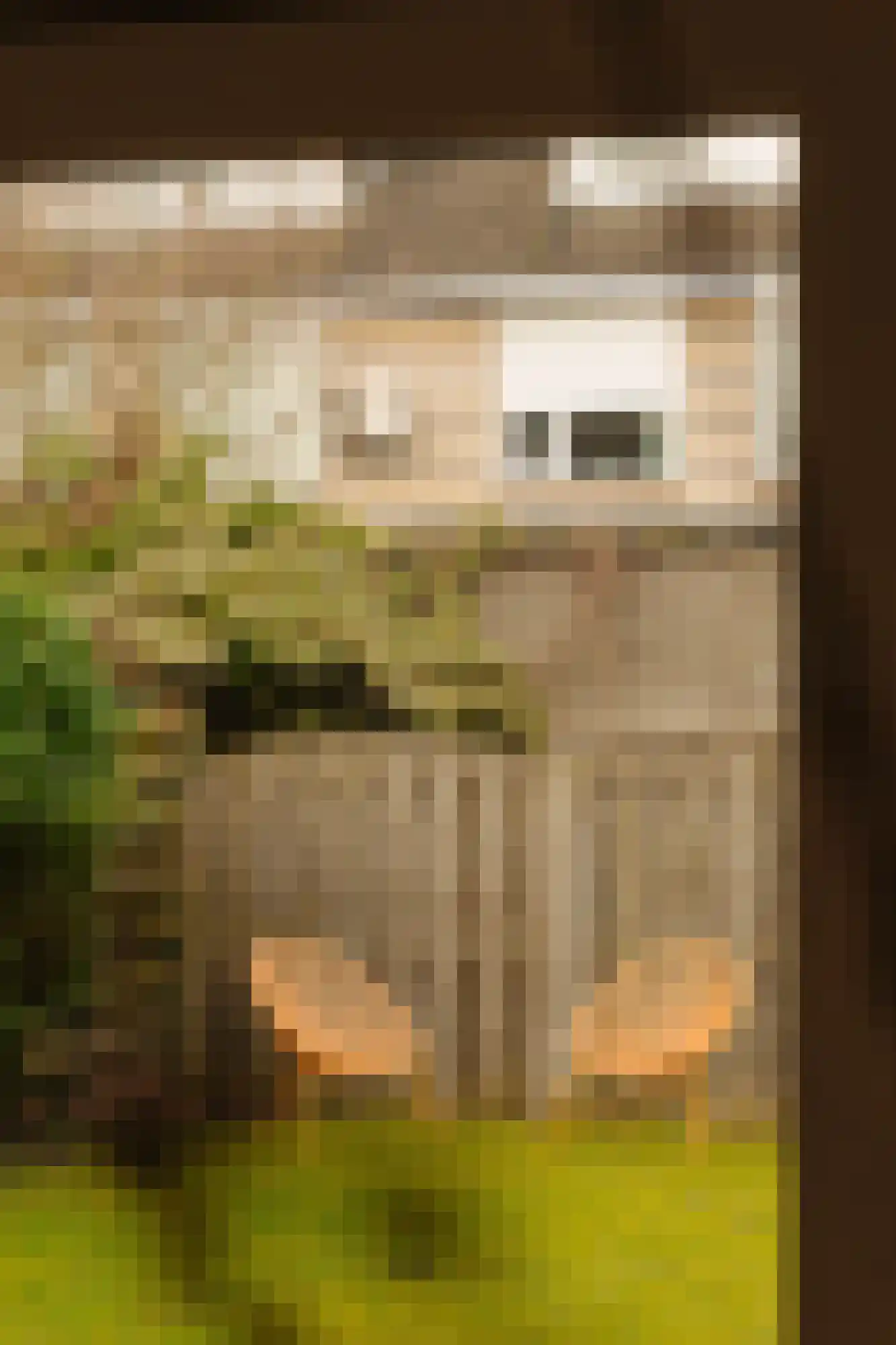Guido van Dethlaan 32 Amstelveen thumbnail 6