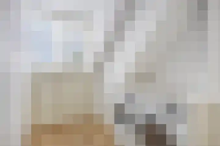 Guido van Dethlaan 5 Amstelveen thumbnail 31