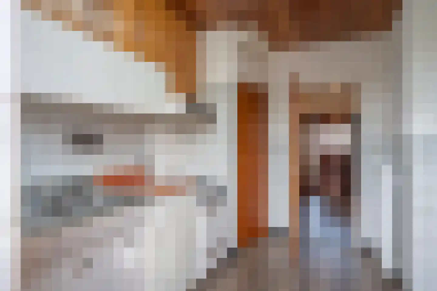 Guillaume Franquinetstraat 3 Sittard thumbnail 10