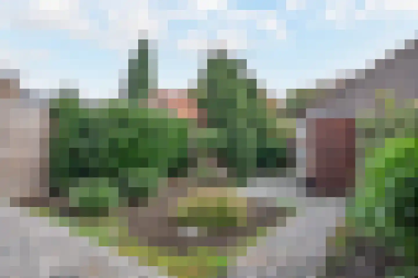 Guillaume Franquinetstraat 3 Sittard foto 2