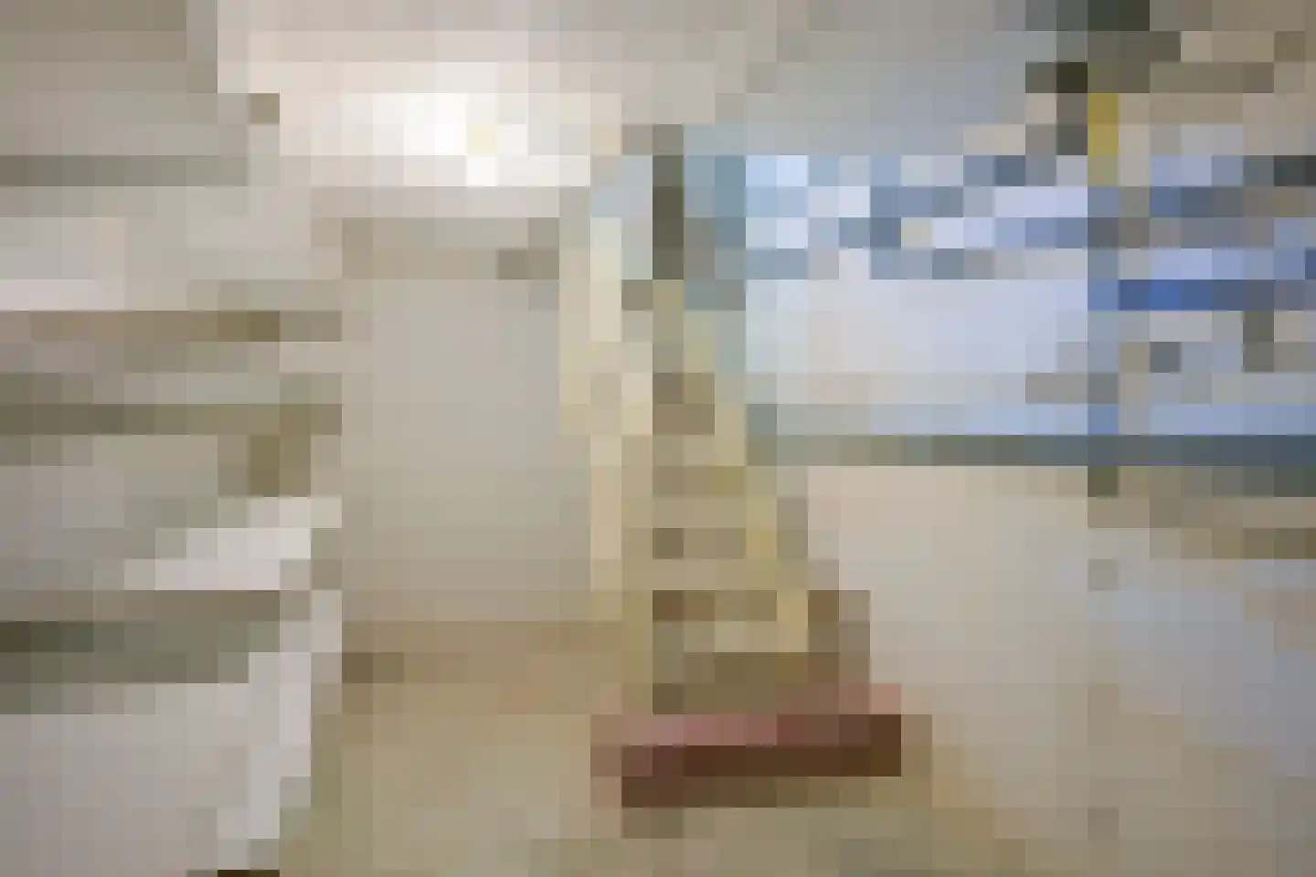 Guillaume Franquinetstraat 3 Sittard thumbnail 22