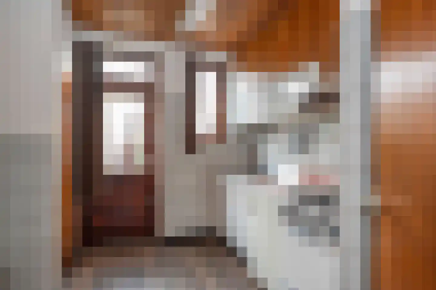 Guillaume Franquinetstraat 3 Sittard thumbnail 9