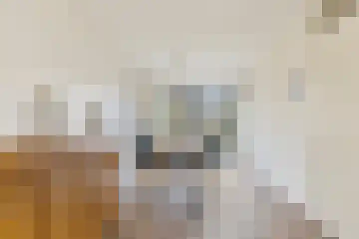 Guillaume van der Graftstraat 4 Hardenberg thumbnail 10