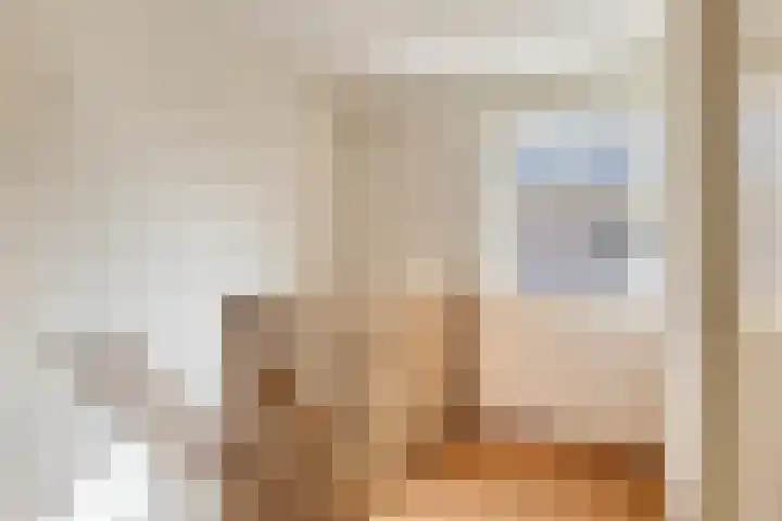 Guillaume van der Graftstraat 4 Hardenberg thumbnail 13