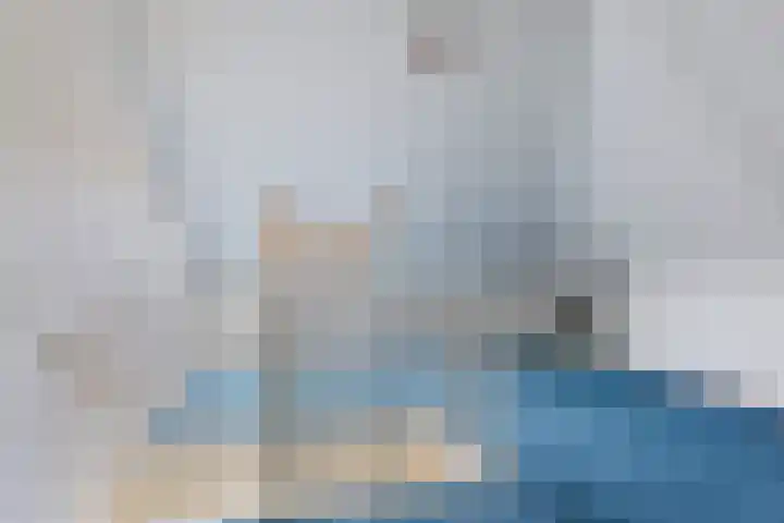 Guillaume van der Graftstraat 4 Hardenberg thumbnail 20