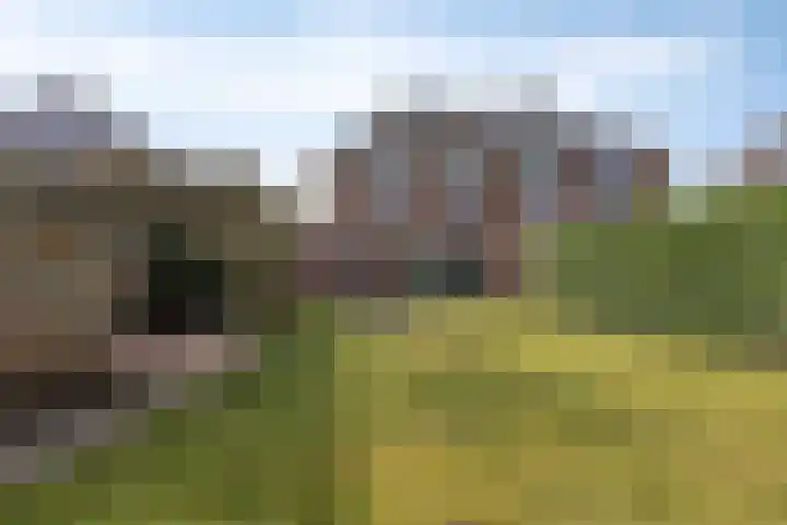 Guillaume van der Graftstraat 4 Hardenberg thumbnail 23