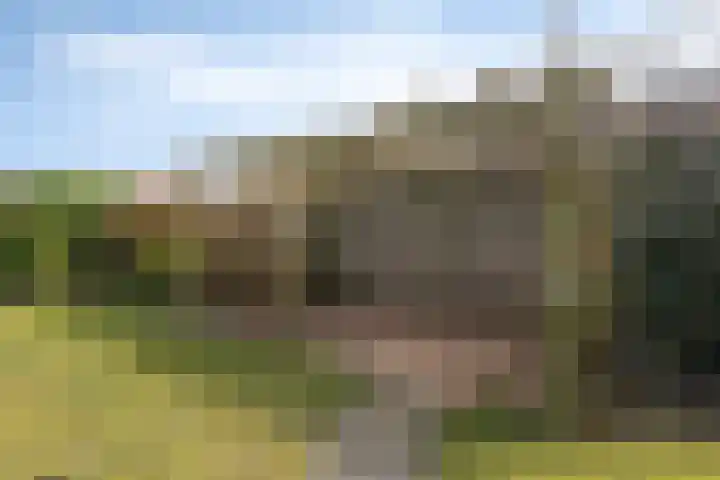 Guillaume van der Graftstraat 4 Hardenberg thumbnail 24