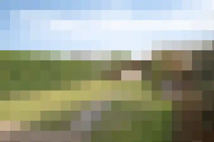 Guillaume van der Graftstraat 4 Hardenberg thumbnail 25