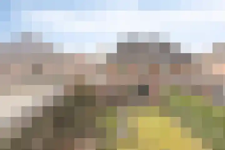 Guillaume van der Graftstraat 4 Hardenberg thumbnail 26