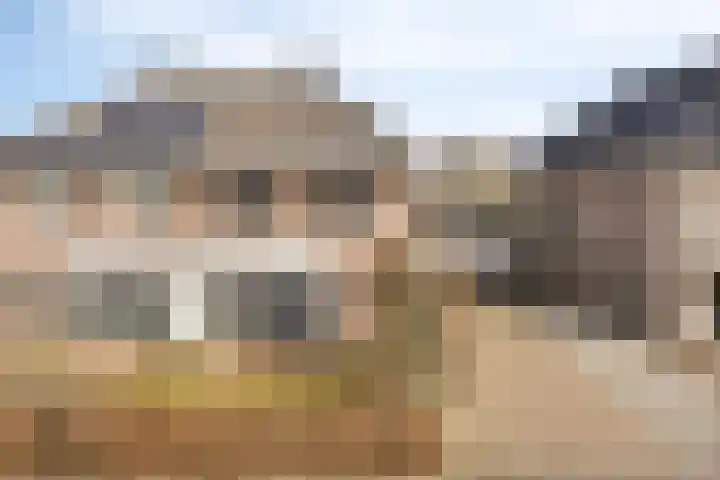 Guillaume van der Graftstraat 4 Hardenberg thumbnail 5