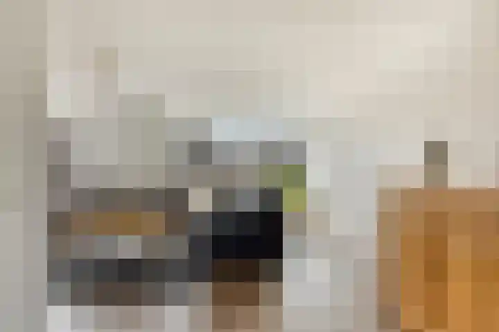 Guillaume van der Graftstraat 4 Hardenberg thumbnail 7