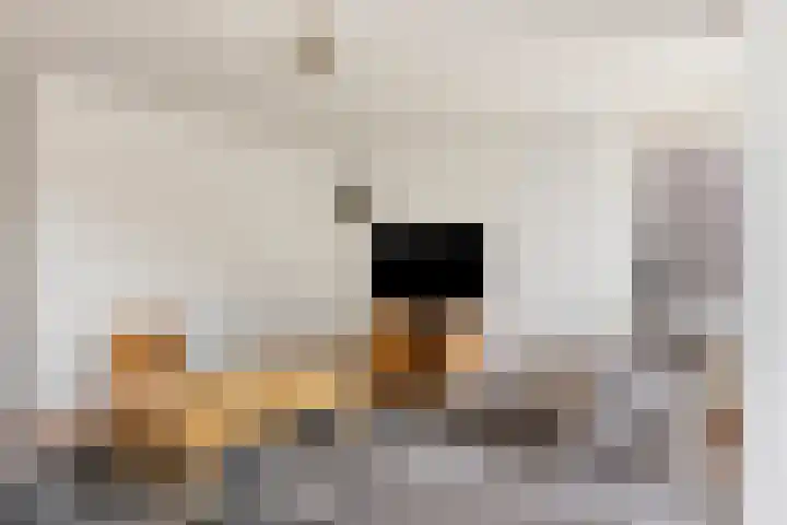 Guillaume van der Graftstraat 4 Hardenberg thumbnail 9