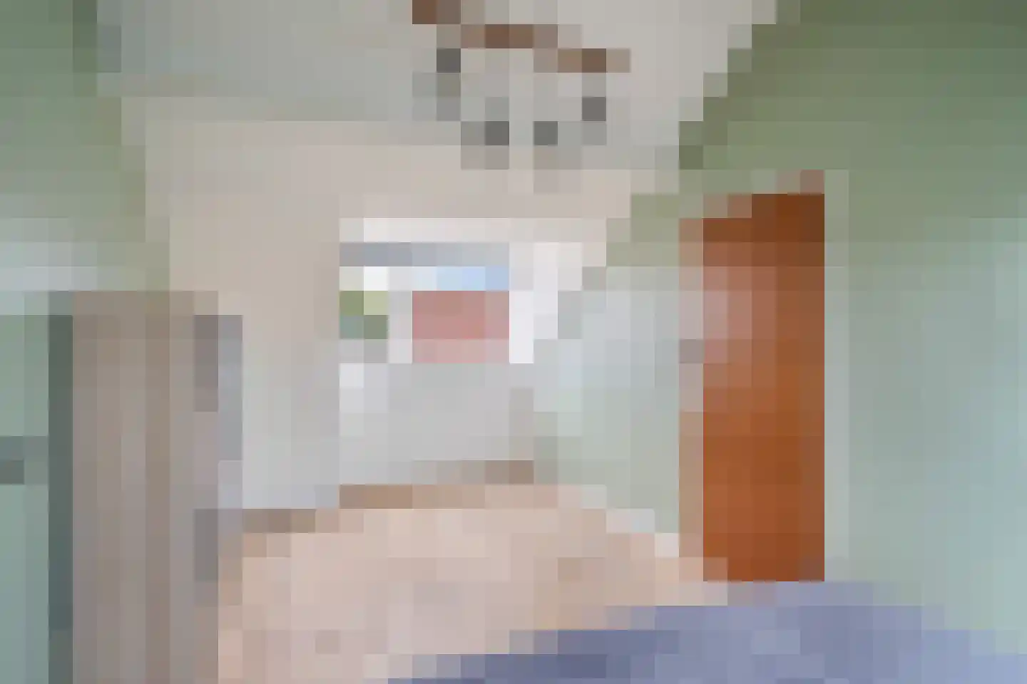 Guineelaan 8 Delft thumbnail 26