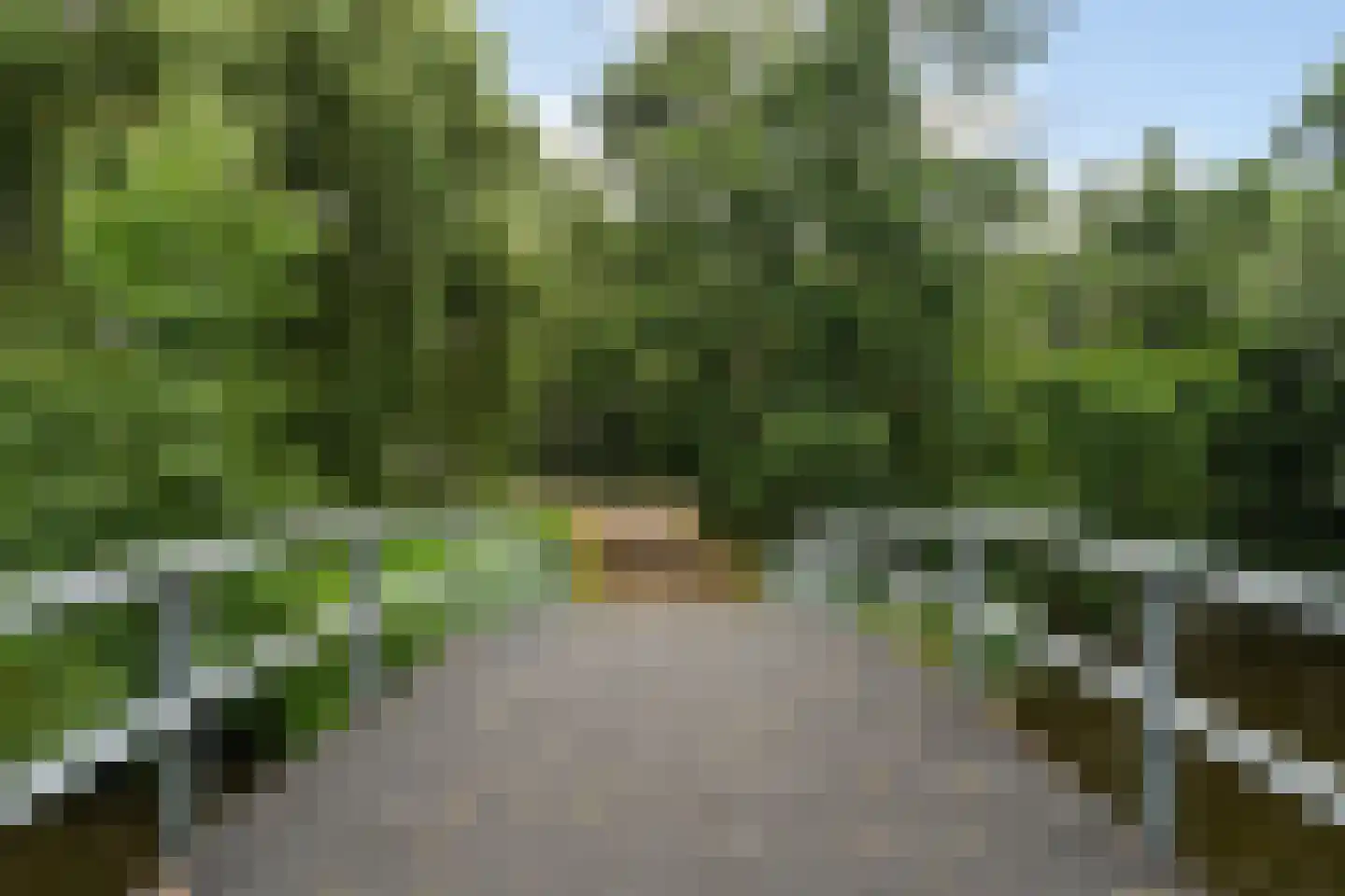 Guineelaan 8 Delft thumbnail 31