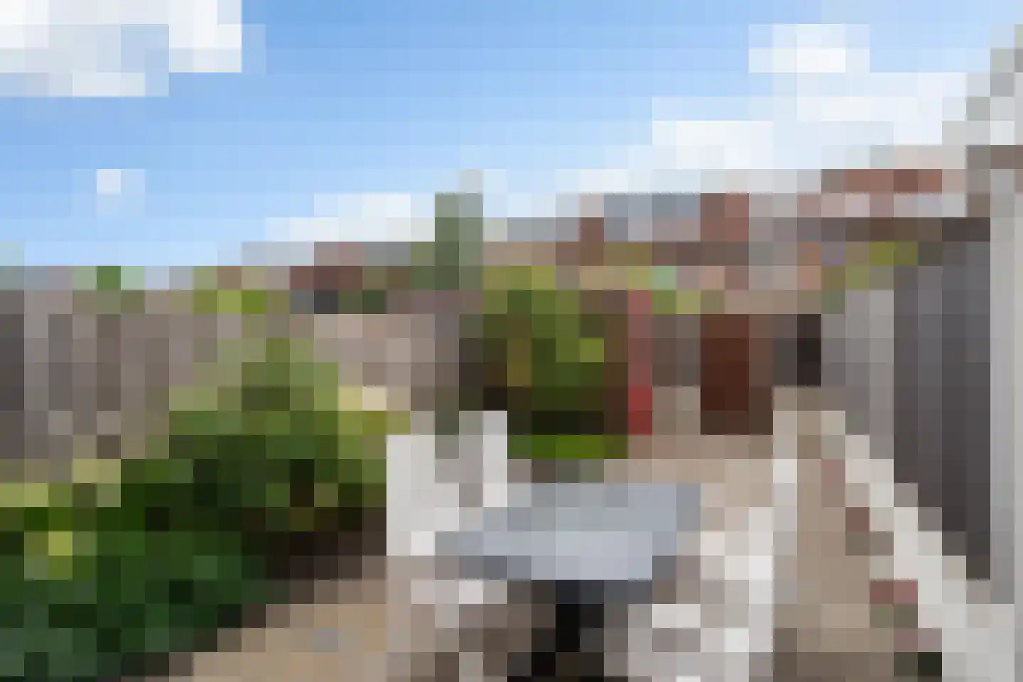 Guineelaan 8 Delft thumbnail 5