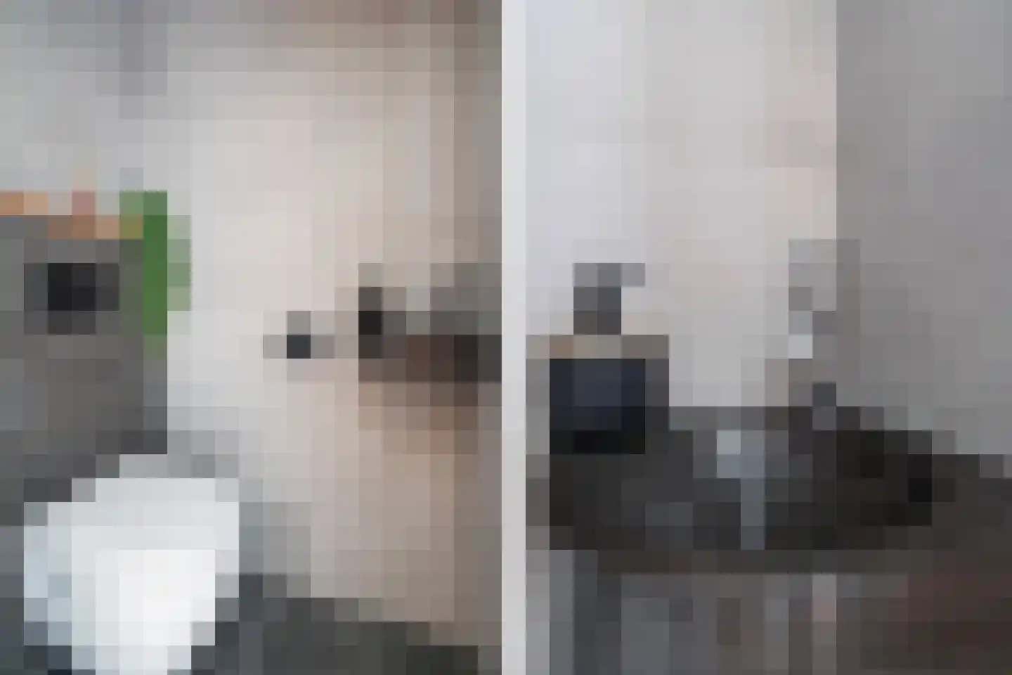 Guineelaan 8 Delft thumbnail 8