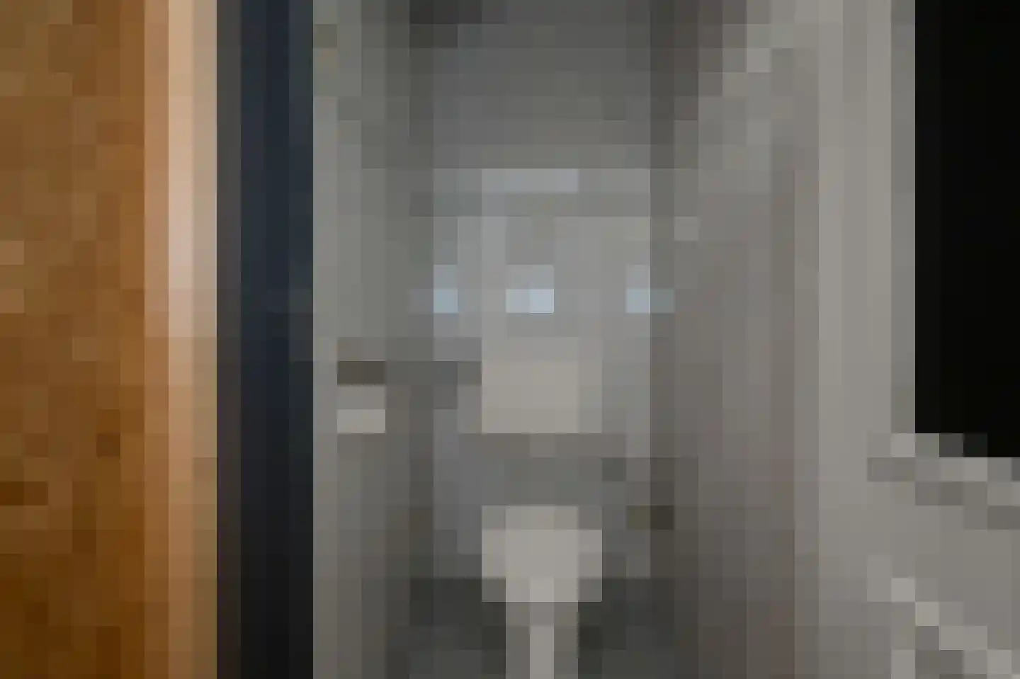 Guisweg 23 Zaandijk thumbnail 16