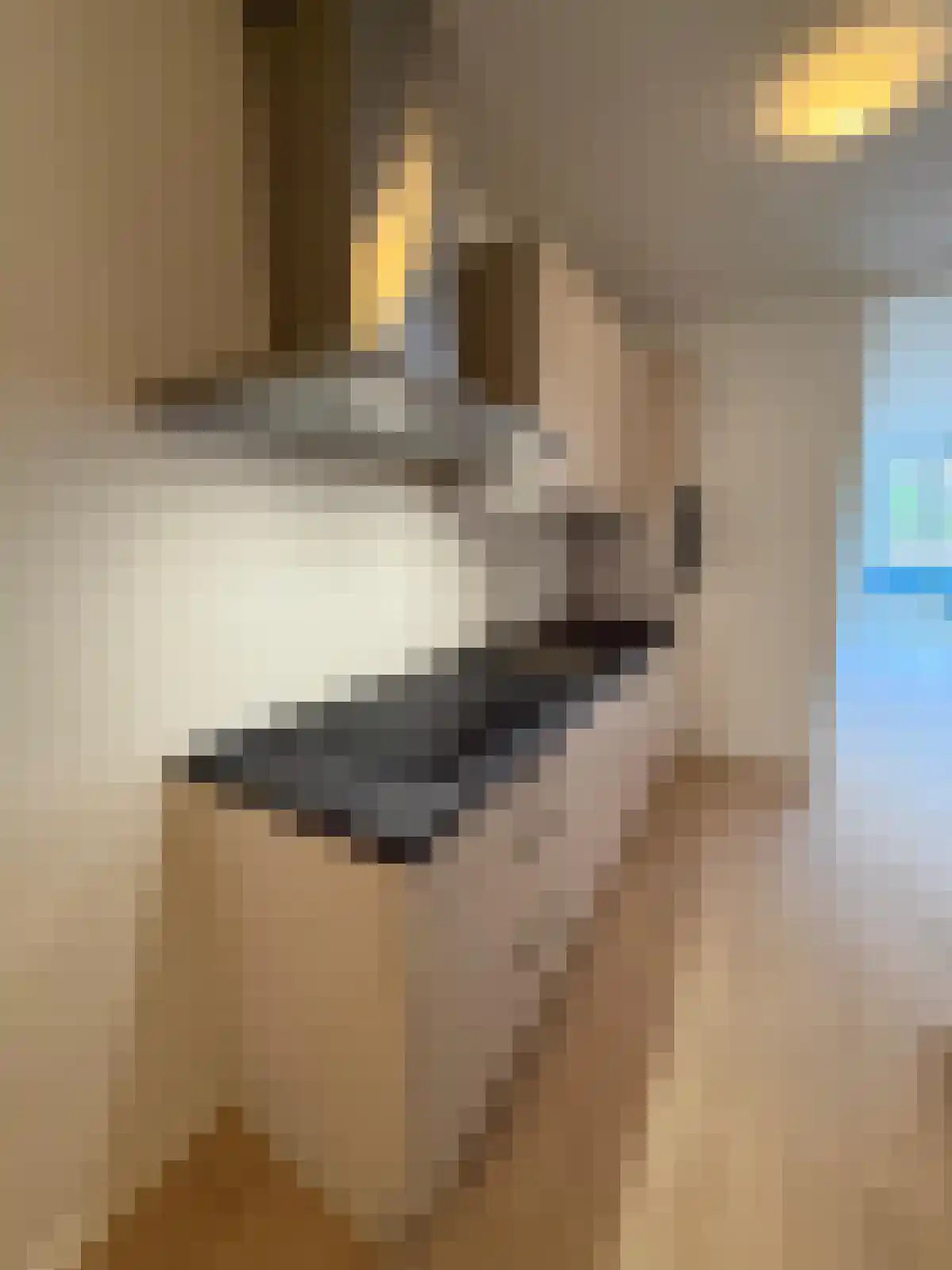 Guisweg 49 B Zaandijk thumbnail 9