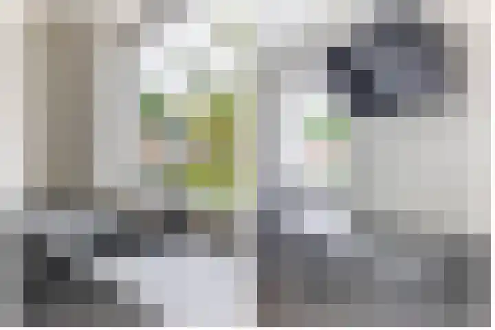 Guisweg 51 Zaandijk thumbnail 19