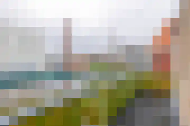 Guisweg 51 Zaandijk thumbnail 22