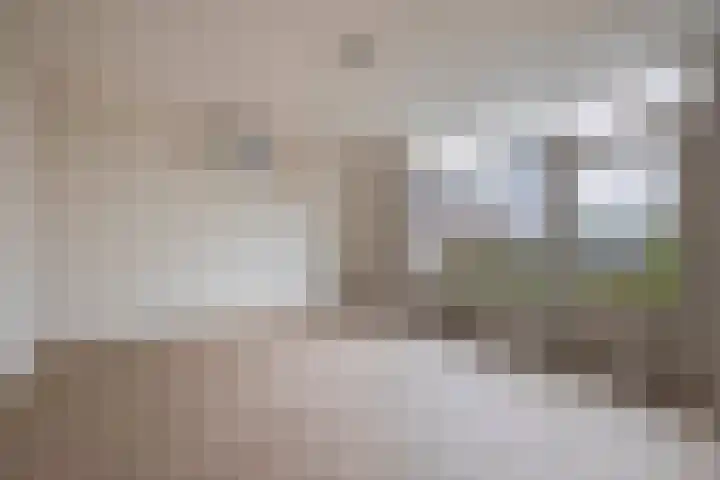Guisweg 51 Zaandijk thumbnail 24
