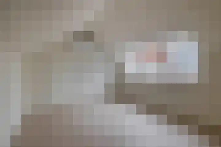 Guisweg 51 Zaandijk thumbnail 31