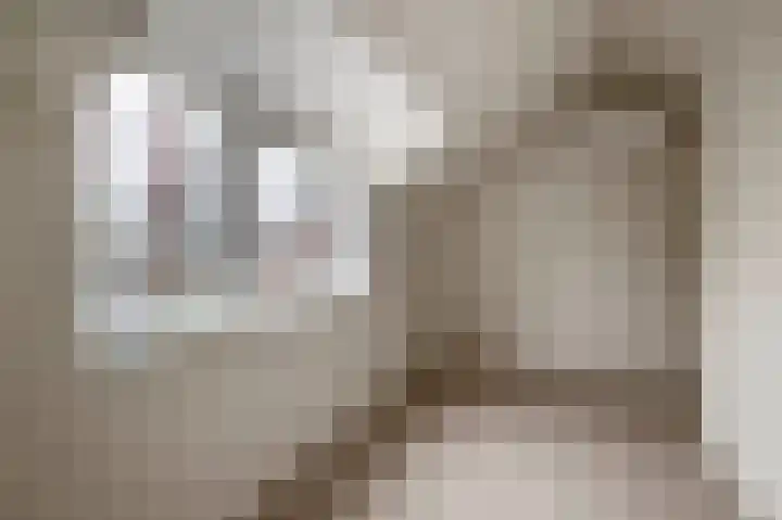 Guisweg 51 Zaandijk thumbnail 33