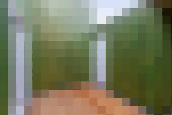 Guisweg 51 Zaandijk thumbnail 35