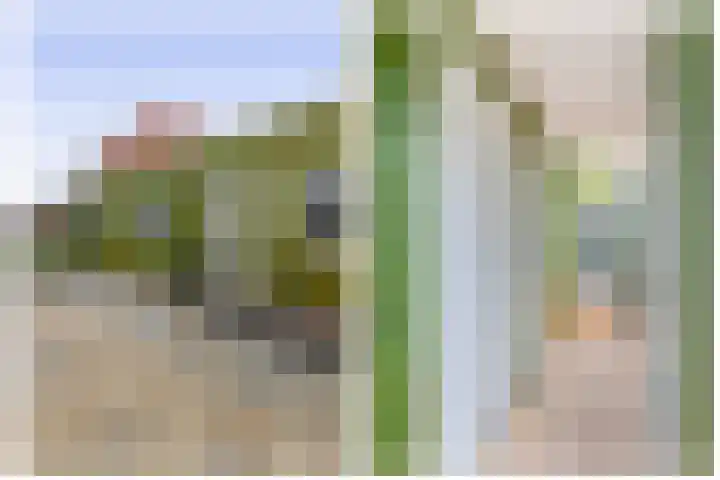 Guisweg 51 Zaandijk thumbnail 40
