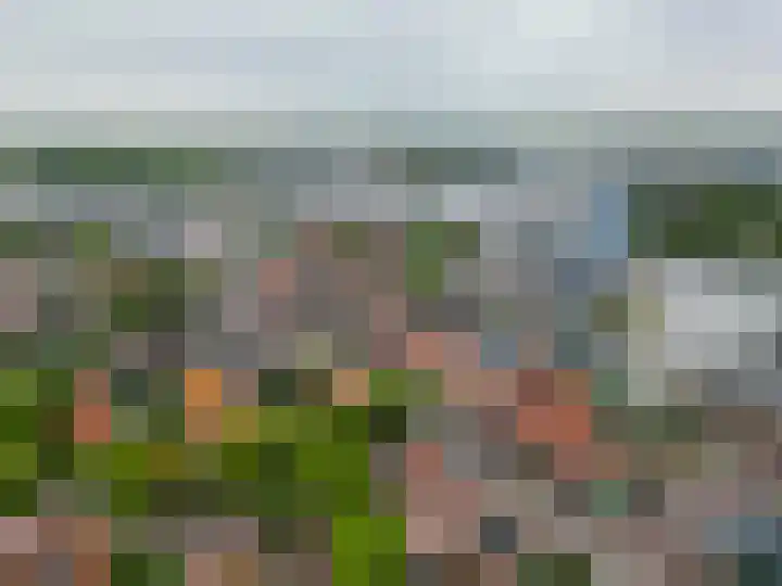 Guisweg 51 Zaandijk thumbnail 45