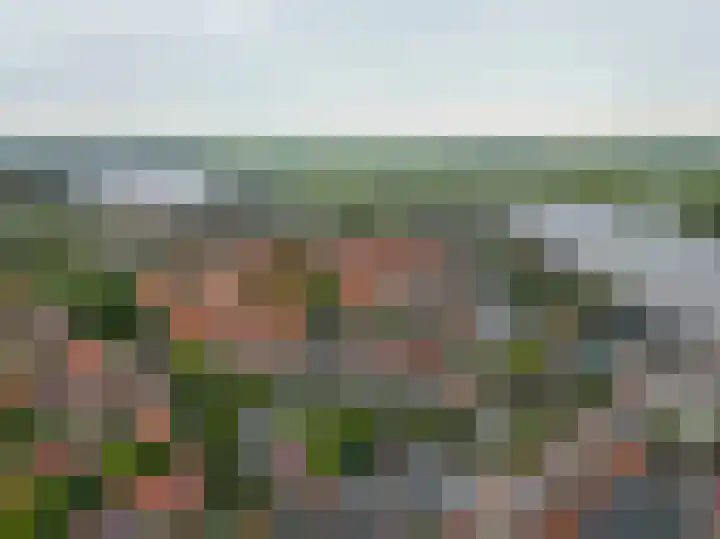 Guisweg 51 Zaandijk thumbnail 46
