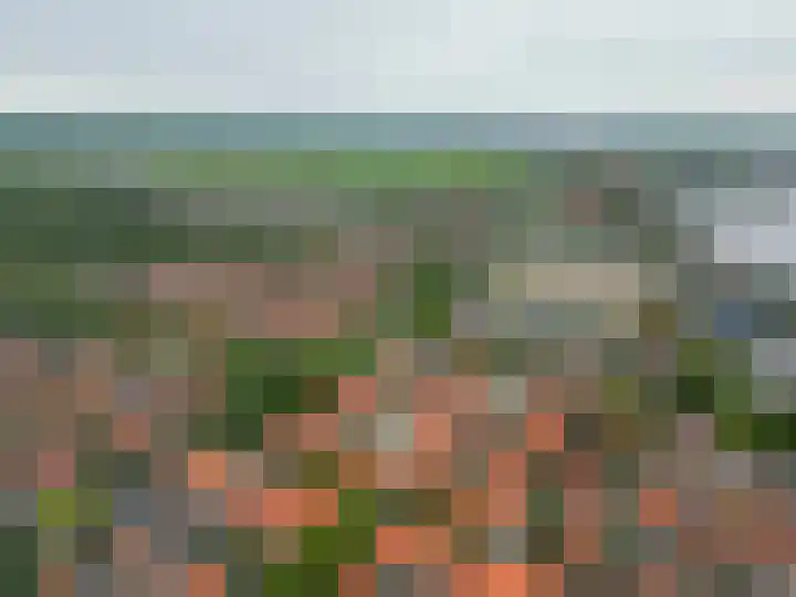 Guisweg 51 Zaandijk thumbnail 48