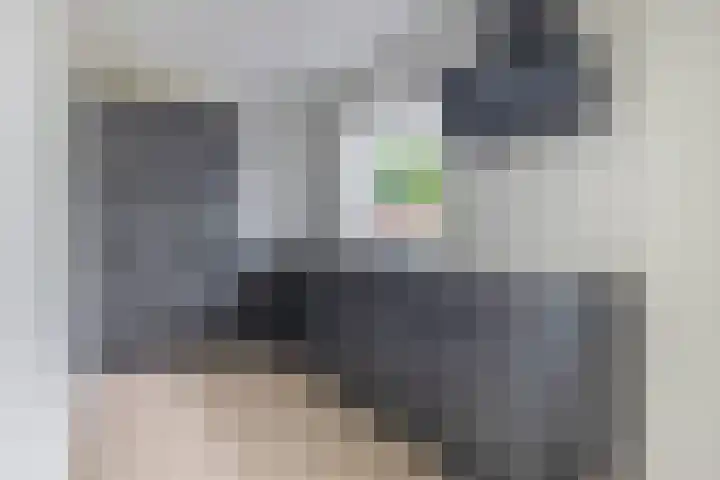 Guisweg 51 Zaandijk thumbnail 5