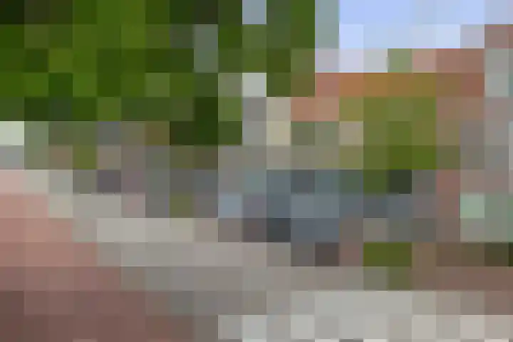 Guisweg 51 Zaandijk thumbnail 6