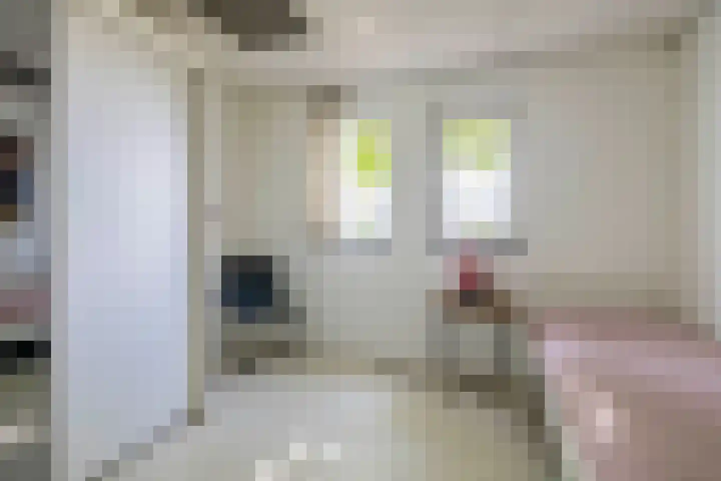 Gulberg 15 Nuenen thumbnail 38