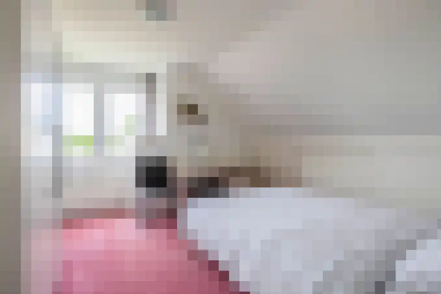 Gulberg 15 Nuenen thumbnail 41