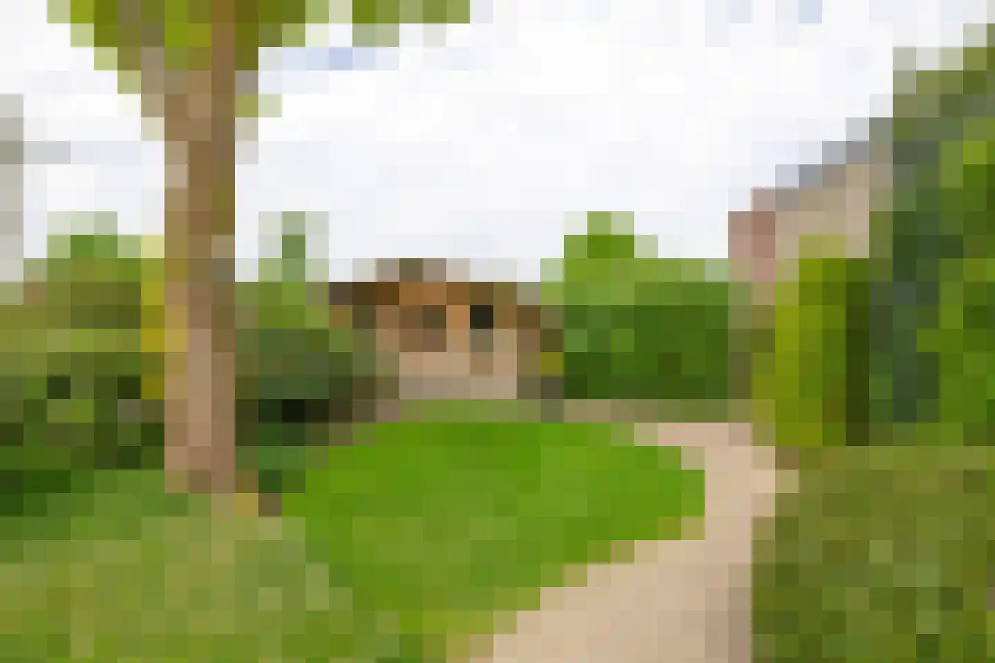 Gulberg 15 Nuenen thumbnail 50