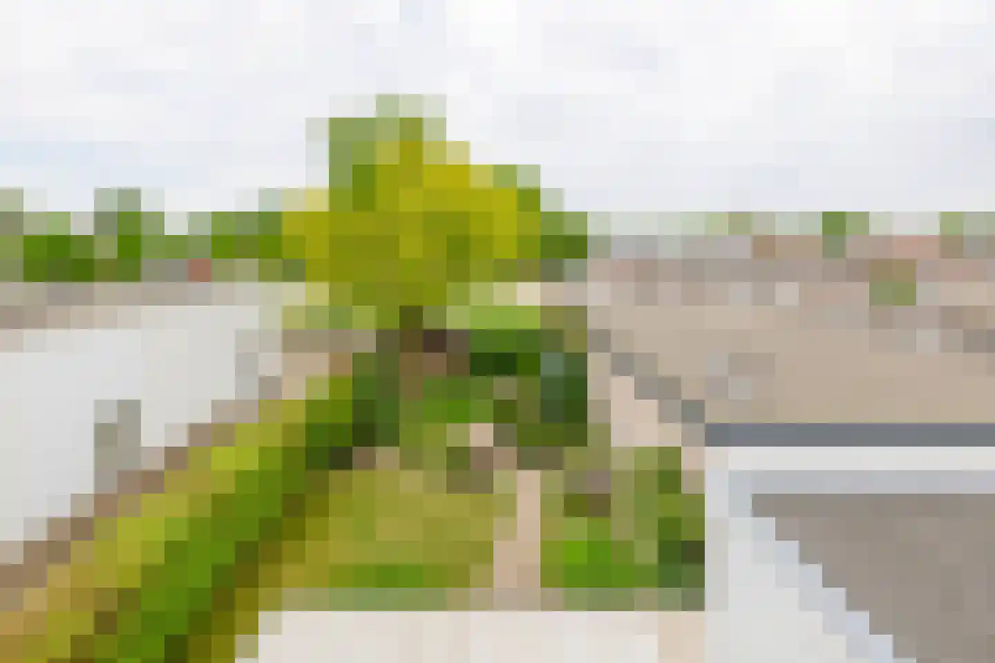Gulberg 15 Nuenen thumbnail 68