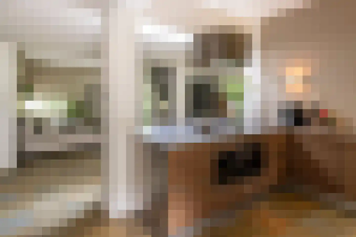 Gulbergsven 31 Eindhoven thumbnail 11