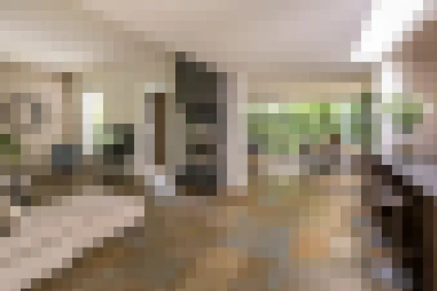 Gulbergsven 31 Eindhoven thumbnail 13