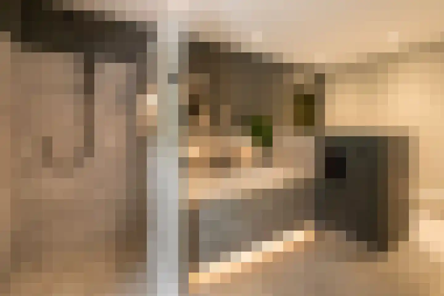 Gulbergsven 31 Eindhoven thumbnail 27
