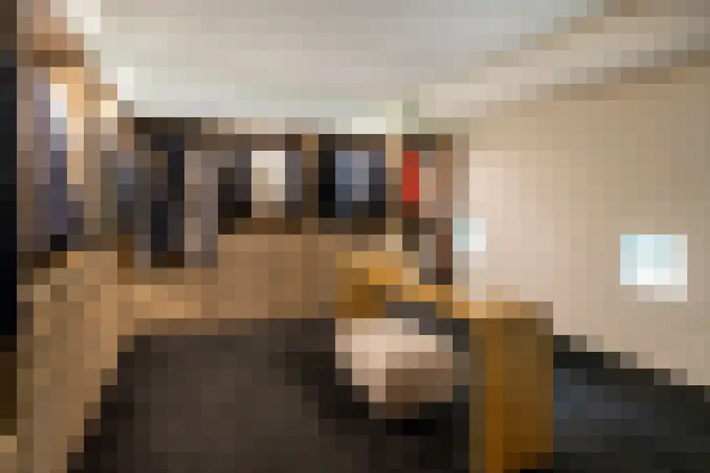 Gulbergsven 31 Eindhoven thumbnail 30