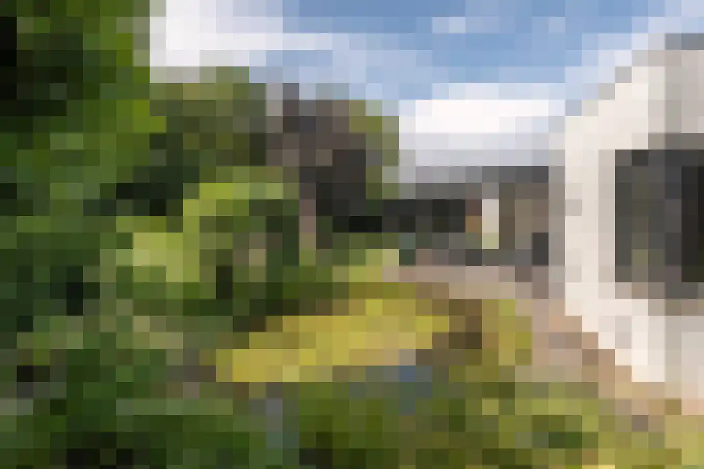 Gulbergsven 31 Eindhoven thumbnail 33