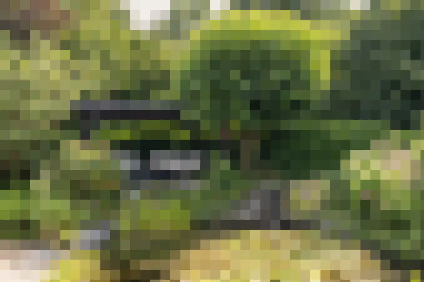Gulbergsven 31 Eindhoven thumbnail 34