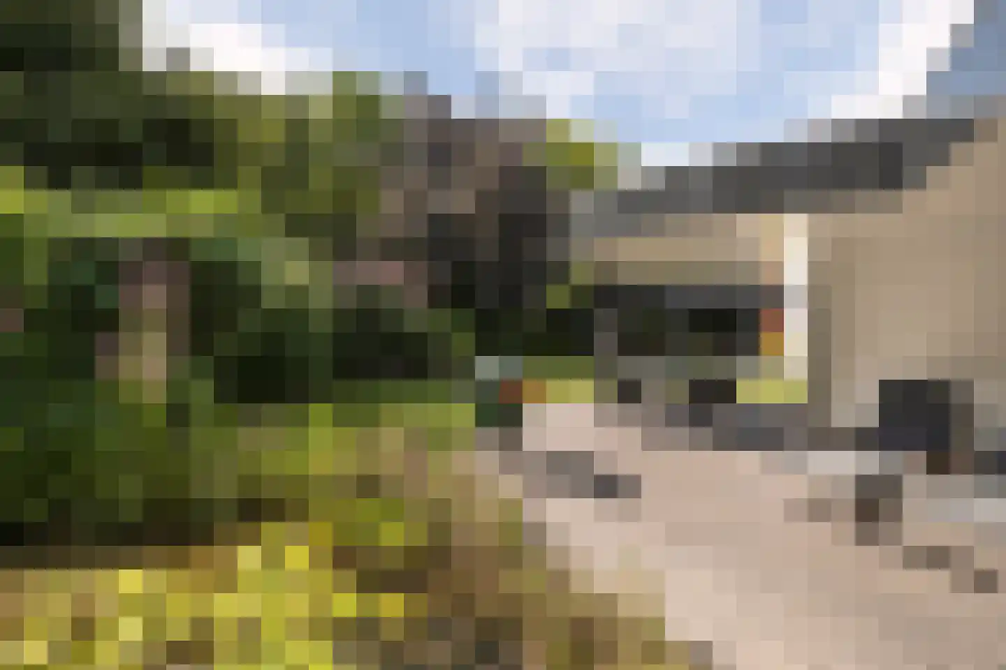 Gulbergsven 31 Eindhoven thumbnail 35