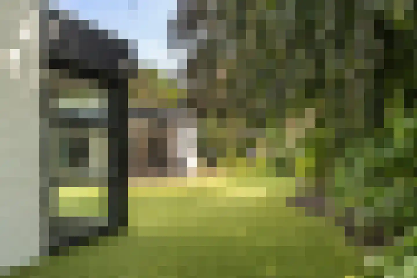 Gulbergsven 31 Eindhoven thumbnail 36