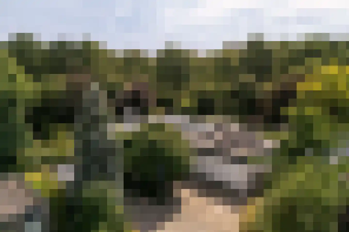 Gulbergsven 31 Eindhoven thumbnail 38