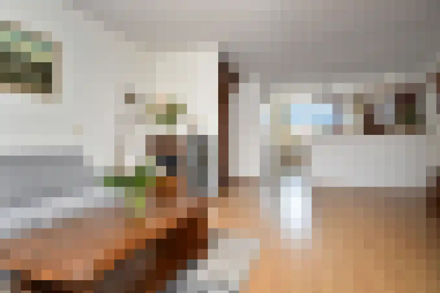Guldeland 15 Wateringen thumbnail 11