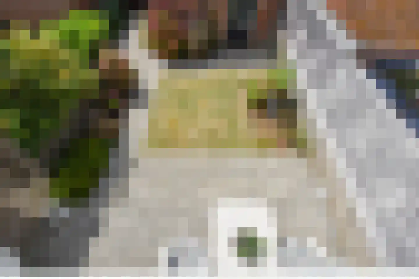 Guldeland 15 Wateringen thumbnail 32