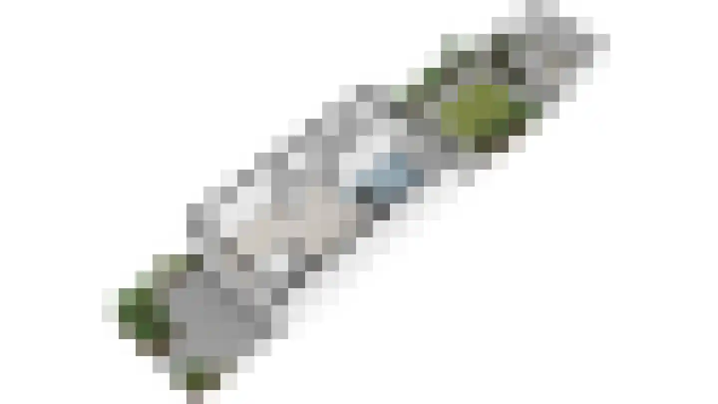 Guldeland 15 Wateringen thumbnail 55